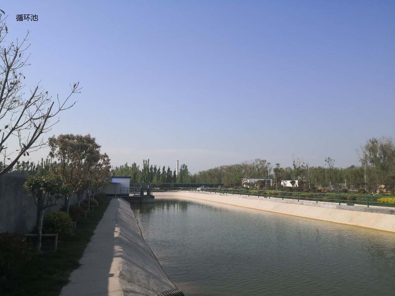 China Shandong Xingshun New Material Co., Ltd. Company Profile 